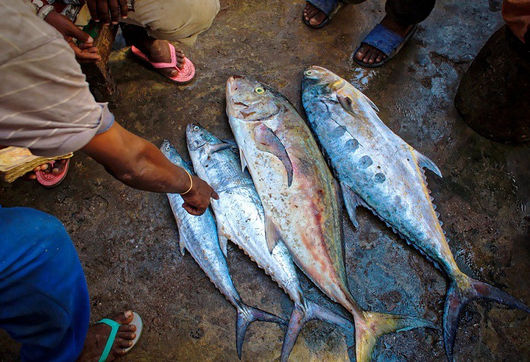 採買海鮮的好地方：帕席爾魚市場（Pasil Fish Market）- HOWDY語言學校
